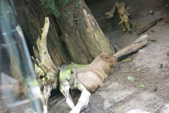 photo16-4
